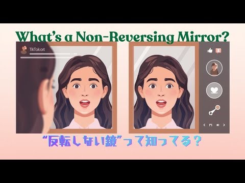 non-reversing mirror の仕組み・歴史・SNSでバズった理由まとめ