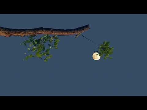 romanticizing studying playlist