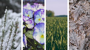 What Services Are Included in a Commercial Landscaping Contract? | Schill