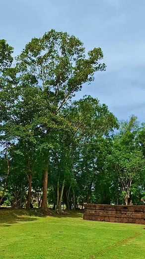 ช่องรวมมิตรไก่ชน(ยูส2) บน TikTok