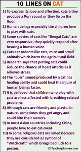 10 Lines on Cat for Children and Students of Class 1, 2, 3, 4, 5, 6