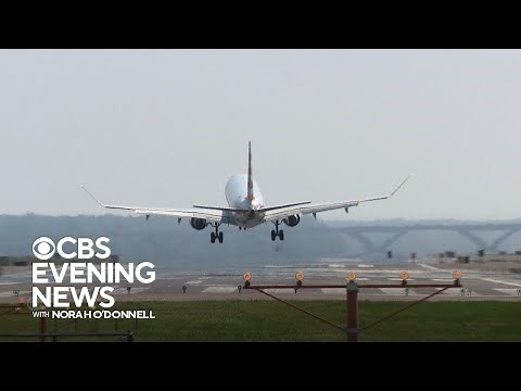Bird strike forces emergency landing in Ohio
