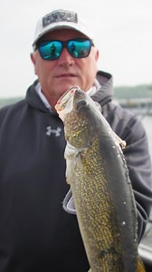 1.1K views · 11 reactions | Fishing in Michigan's Western Upper Peninsula - Lake Gogebic, Cisco Chain of Lakes, Lake Superior, Porcupine Mountains, Ottawa National Forest, Sylania Wilderness. #porcupinemountains #sylvaniawilderness #lakesuperior #lakegogebic #explorewesternup #PureMichigan #UPTravel #UpperPeninsula | Western U.P. Visitors Bureau | Facebook