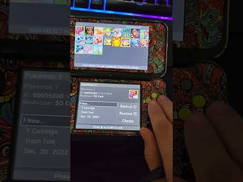 How to use Checkpoint on a homebrew 3Ds