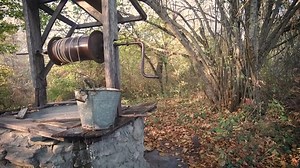 Autumn, Background, Beautiful. Free Stock Video