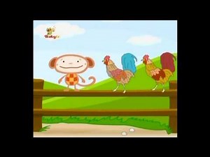 BabyTV Olivier kippenren