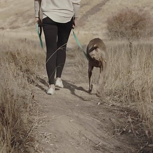 41 reactions · 17 comments | We need them as much as they need us. Now, more than ever. Love them, protect them, insure them. | Pets Best Pet Health Insurance | Facebook