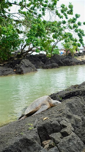 clover | lifestyle creator on Instagram: "Peru Night at I-House🐻💙💛 . . . . . UC Berkeley, Berkeley, college, college life, college lifestyle, college vlog, college vlogs, college girl, college aesthetic, college inspo, college inspiration, college motivation, college student, college students, college dorms, college dorm life, Berkeley I-House, Berkeley International House, college diaries, college memories, college fun . . . . . #ucberkeley #berkeley #ihouseberkeley #collegelifestyle #explor