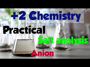 Chemistry Practicals |salt analysis anion Plus two