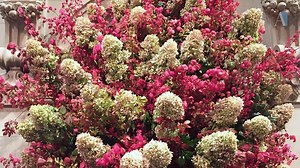 5.4K views · 80 reactions | "Growing up within a family of artists,...