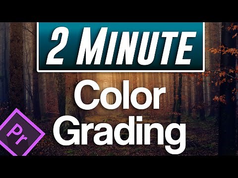 Color Grading Tutorial | Premiere Pro 2020