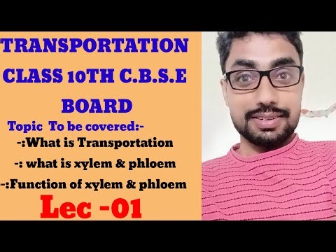 Transportation class 10th For cbse bord 2026#liveclass#class10thliveclass