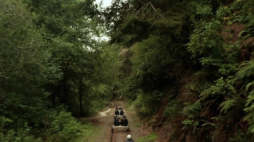 1.3K reactions · 291 shares | Sit back, breathe deep, and discover an entirely new way to explore California. Electric-powered and virtually silent, our custom-built, two-person railbikes will take you breezing along the world-famous Redwood Route. You’ll wend your way along scenic Pudding Creek, cross over majestic wooden trestle bridges, and journey into the heart of the ancient redwoods of Mendocino County. | Skunk Train | Facebook