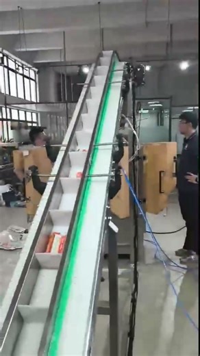 Automatic Small Pack Sorting & Big Bag Packaging Line