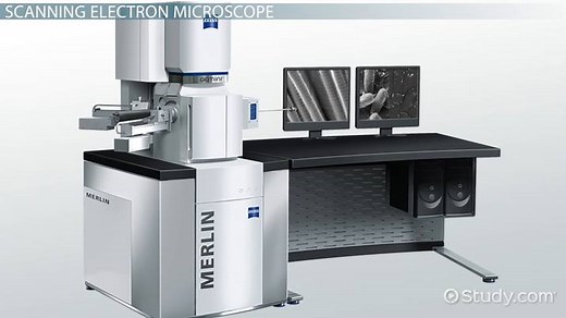Scanning Electron Microscope: Definition & Uses