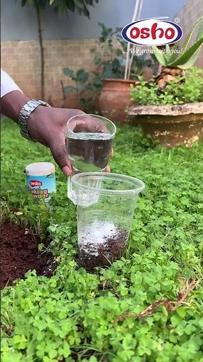 Home DIY soil pH test