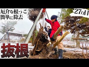 Rooting out disturbing roots with a chain block! ︎ [Day 27] Grandmother's house is in ruins