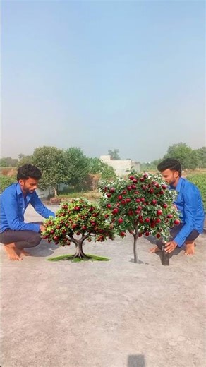 Magical Fruits Tree. #shorts #magic #tree #clone