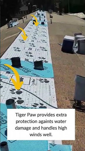 Get the Right Roof Deck Protection with GAF Tiger Paw