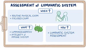 Video: Lymphatic System: Examination and Findings - Video Explanation! | Osmosis | Osmosis