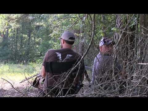 MFK Coyote Hunting BEST NEW SOUNDS For FoxPro High Performance Electronic Game Calls