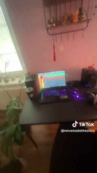 Discover German Music: Artist Reactions in Germany