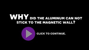 Sistemas del Cuerpo Humano