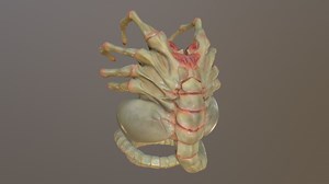 Alien: Facehugger (Fanart) (WIP) - Download Free 3D model by Mikael Nygren (@Mikaeln)