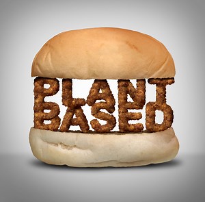 How to produce textured vegetable protein TVP? - Making.com