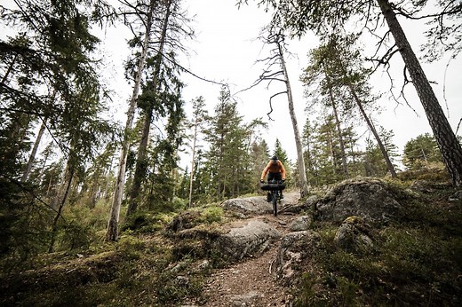 A Singlespeeder’s Guide To Bikepacking
