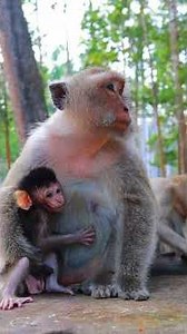 Lovely Cute Baby Dallas With Mom Dee Dee