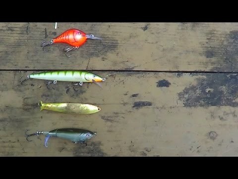Types Of Fishing Lures Explained