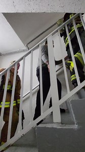 35K views · 461 reactions | Flagler County Sheriff's Office on Reels | Facebook