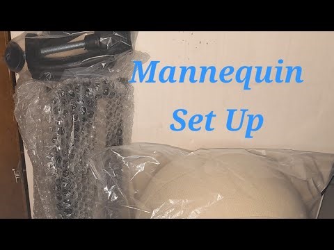 How to set up a Mannequin