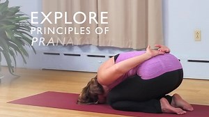 19K views · 710 reactions | Studies have shown pranayama can relieve...