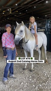 3.4K views · 32 reactions | LOT #74 August 2nd Catalog Horse...