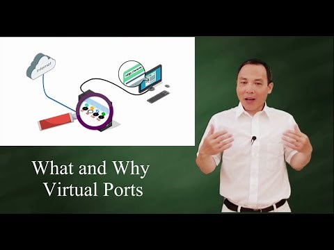 What and why virtual ports (port address)?