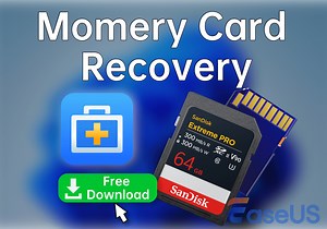 SD Card Recovery Software Free | Safe & Powerful