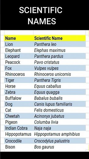 SCIENTIFIC NAME OF ANIMALS