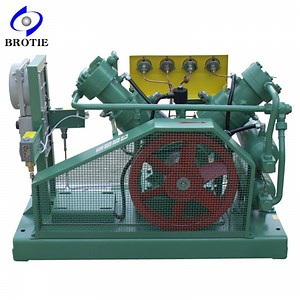 [Hot Item] Brotie Totally Oil-Free Hydrogen Gas Compressor