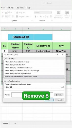 Excel Conditional Formatting: Tips & Tricks for Professionals! 🧑🏻‍💻