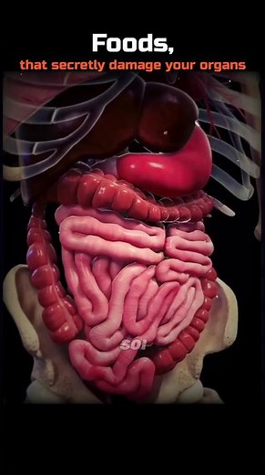 Foods That Secretly Damage Your Organs 💀🤯 #Shorts #Science #Biology #Food #Organs