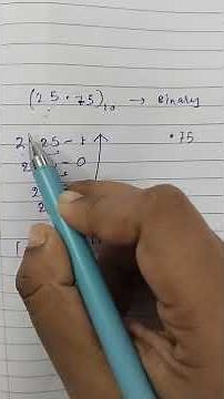 Integer and floating point representation