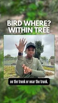 Where Birds Live: ASL Environment Signs 🪺✋