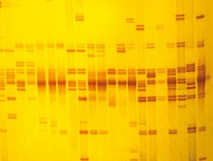What are genetic technologies? | Royal Society