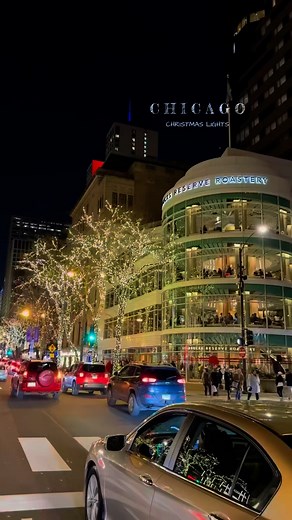 Chicago in one Month.. This is How December will be looking like in Chicago Downtown, make sure to book your December flight to Chicago 🎫 ✈️ Downtown Chicago 📍🇺🇸 #fblifestyle #chicago #chicagophotographer #chicagoarchitecture #chicagolife #chicagoblogger #chitown #chicagodowntown #chicagogram #chicagoland #christmas #christmasdecor #christmaslights #chicagoexplore #chicagomusic #iphone17pro #rainday #CommunityGrowth #ReelVibes #spain #humpday #rain #fb #fblifestyle | Travel With Me