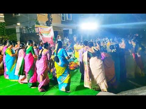 బంగారు బతుకమ్మ సంబరాలు | Vibrant Bathukamma Sambaralu, Floral Arrangements, Folk Songs @Czech Colony