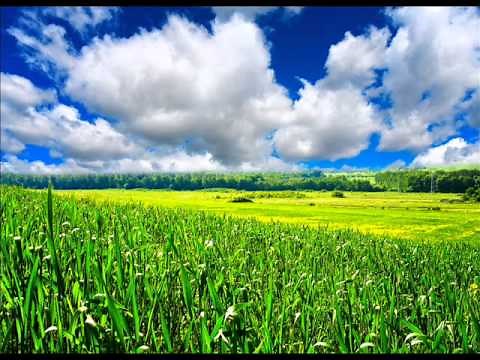 Relaxing Spring Music