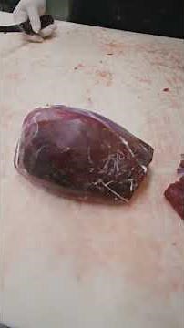 Learn how to debone a deer round. 🔪🥩 #shorts