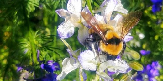 What is Harmonic Resonance? - Dancing with Water